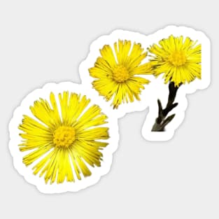 Spring flowers Sticker